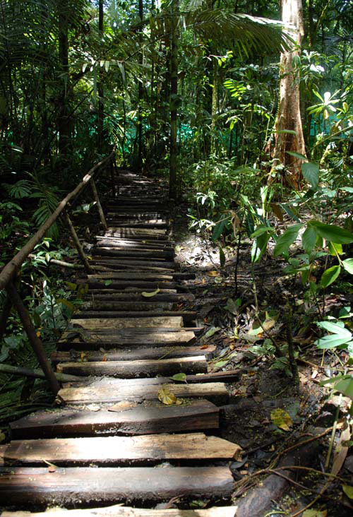 Boardwalk to upper camp