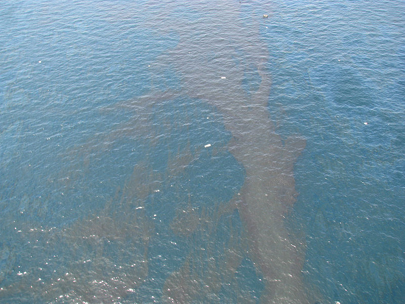 Spilled_oil_from_Deepwater_Horizon_2010-04-22_1