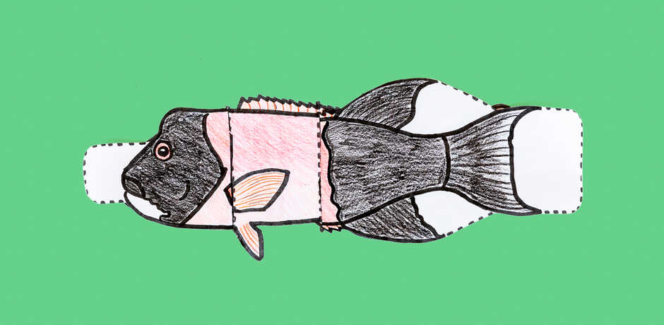 Sheephead fish paper craft against green background