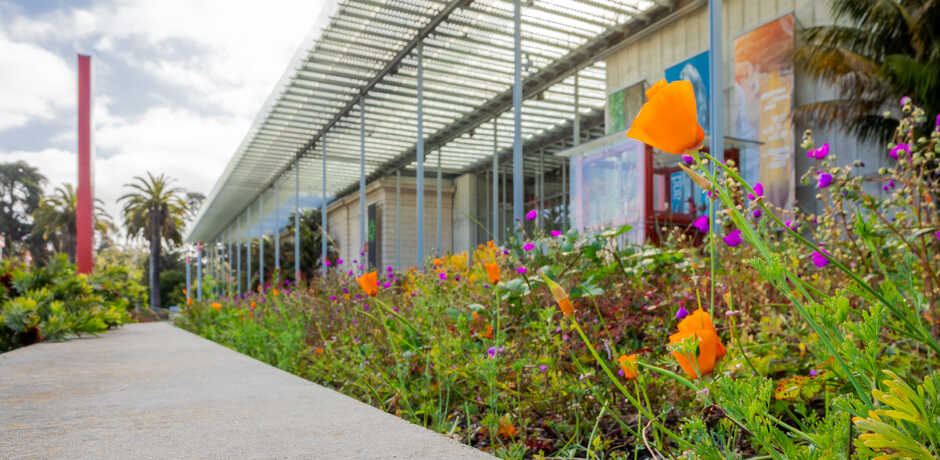 Angled exterior photo of Academy facade with orange poppies in the garden. Photo © Gayle Laird