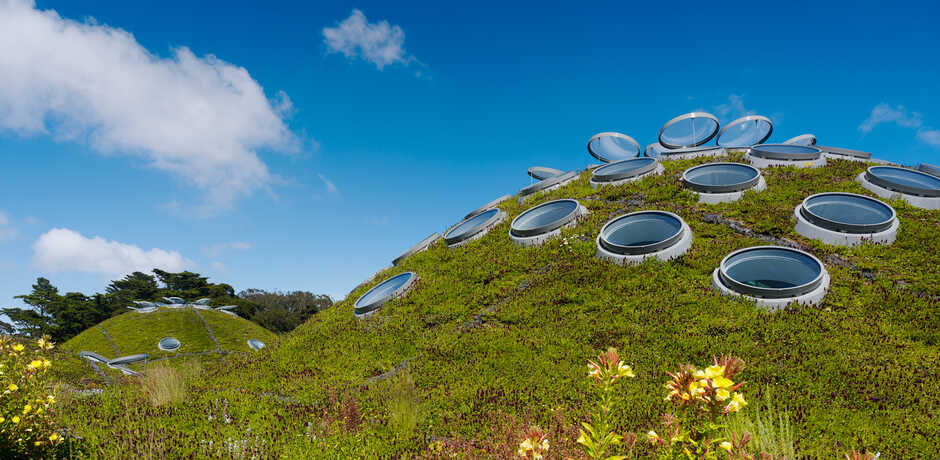 The lush green living roof of the California Academy of Sciences. Photo by Tim Griffith