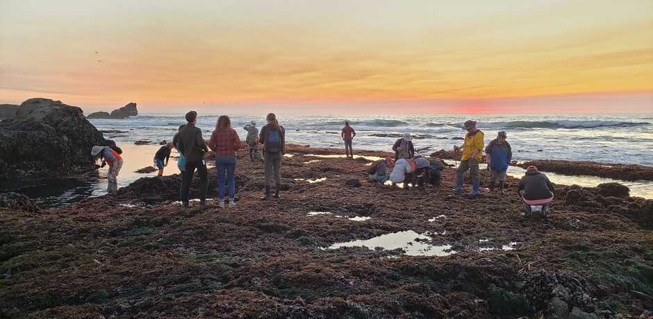 Sunset during a tidepool bioblitz in Northern California