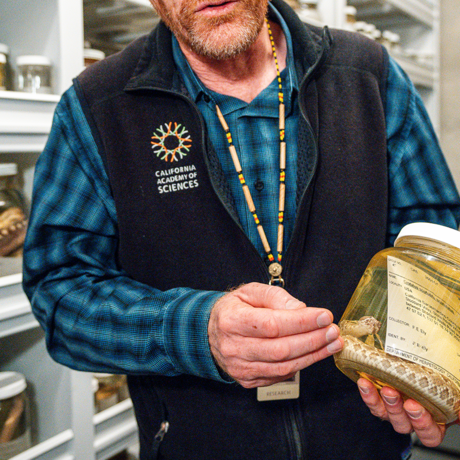 Academy staff member holding jar from herpetology collection
