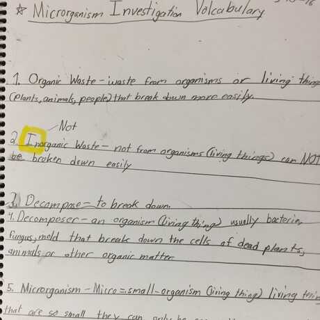 Microorganisms notes