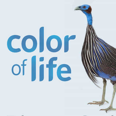 Color of Life Educator Guide Cover