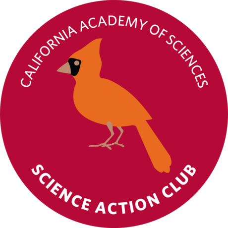 Science Action Club Bird Scouts