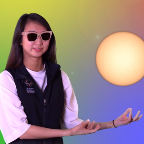 Screenshot from Learning from Light video with presenter pointing at sun against multicolored backdrop