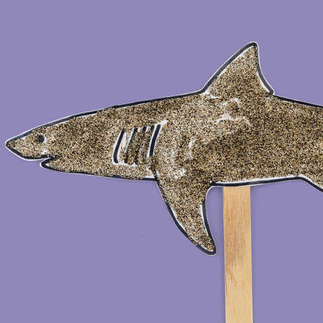 Craft of shark on a popsicle stick