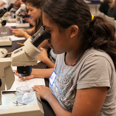 Girl looking through a microscope