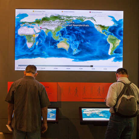 Visitors explore the Human Migration Map.