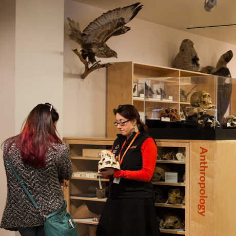 An Academy naturalist talks to a visitor about a specimen.