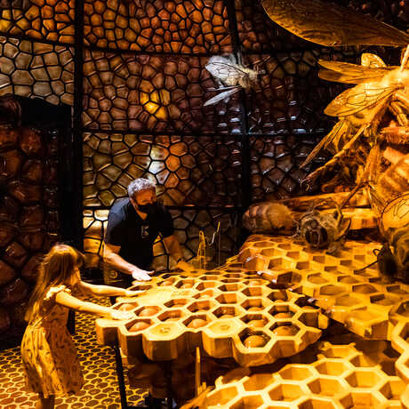 Man and girl participate in interactive game in Swarms chamber in Bugs exhibit at the Academy