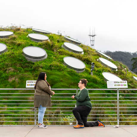 A man gets down on one knee to propose to his partner, who is smiling. They are on the living roof.