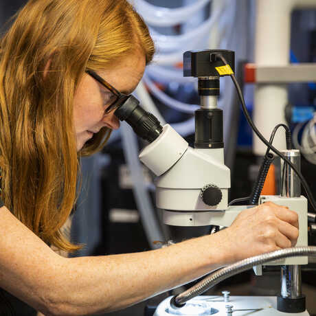 Kylie Lev peers into a microscope and adjusts a side knob. 