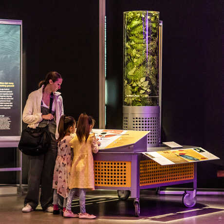 Woman and 2 girls read a display about daily diet of sauropod in World's Largest Dinosaurs exhibition