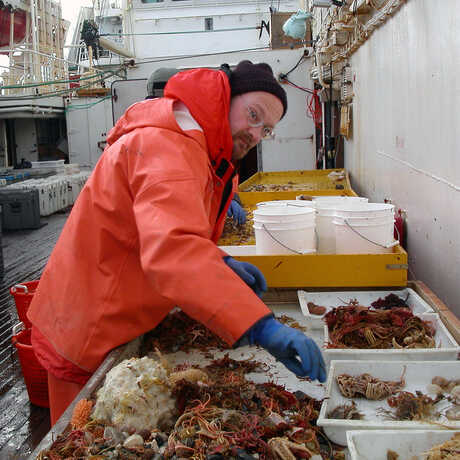 Rich Mooi with sea urchins in Antarctica