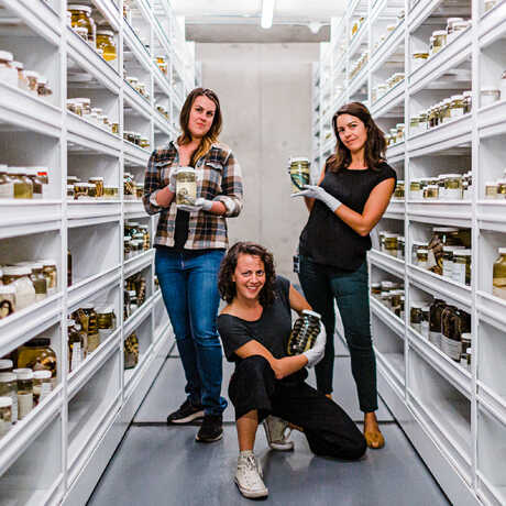 3 Academy herpetologists pose playfully with specimens