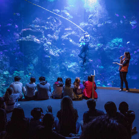 Students watch a dive show in front of the Philippine Coral Reef exhibit