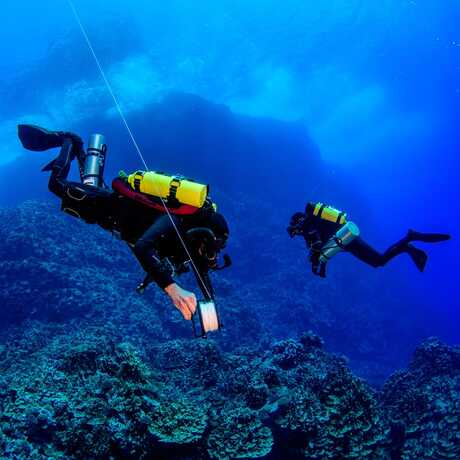 2 scuba divers lay transect lines in Easter Island