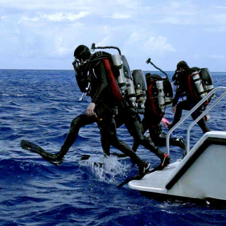 4 scuba divers step off a diving platform into the ocean
