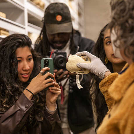 Content creators observe specimens on a tour of the Academy's Ornithology and Mammalogy collection
