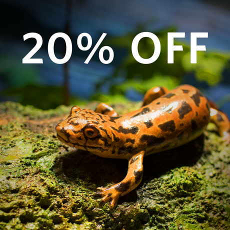 A spotted orange newt with a header announcing 20% off