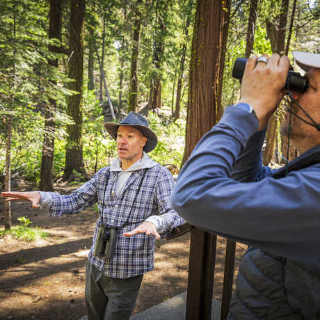 Jack Dumbacher and Durrell Kapan stand in a forested, green area with binoculars; jack appears to be talking and uses his arms in gesture. 