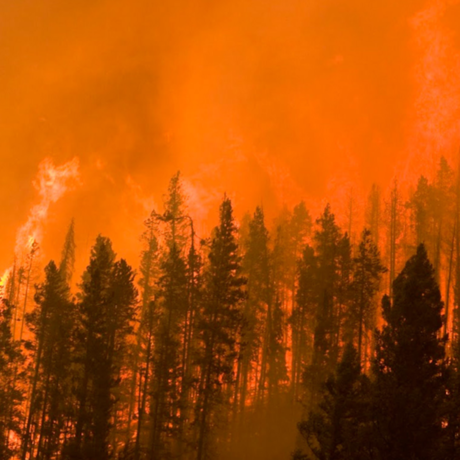 2007 Castle Rock Fire