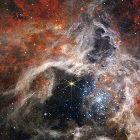 The Tarantula Nebula in the Large Magellanic Cloud, imaged by JWST.