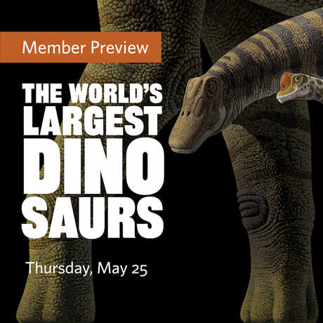 The World's Largest Dinosaurs Member Preview