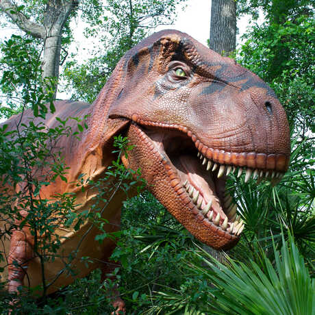 T. rex model in garden