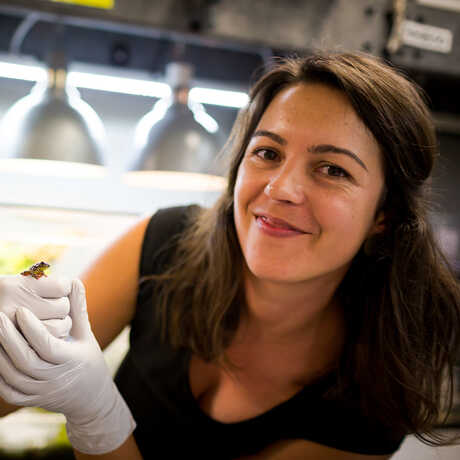 Rayna Bell holding a small tree frog in her lab
