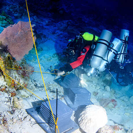Academy scientist places an ARMS module on a coral reef in Curacao