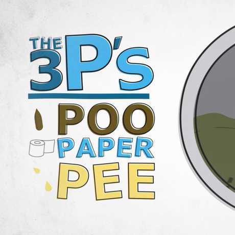Poo and toilet paper rush down a sewer pipe.
