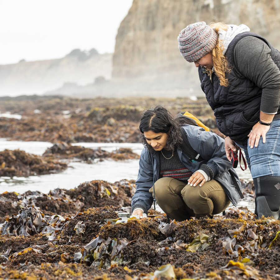 Two women examine tidepool creatures along the California coast
