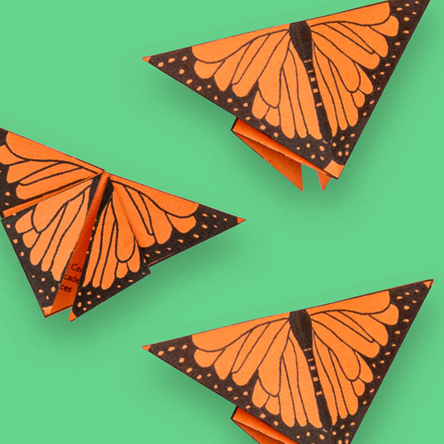 Monarch butterfly origami craft