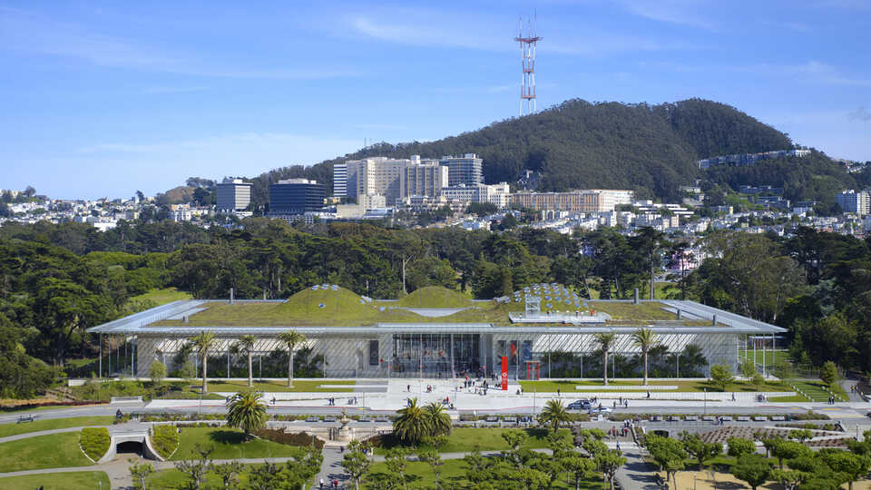 California Academy of Sciences view