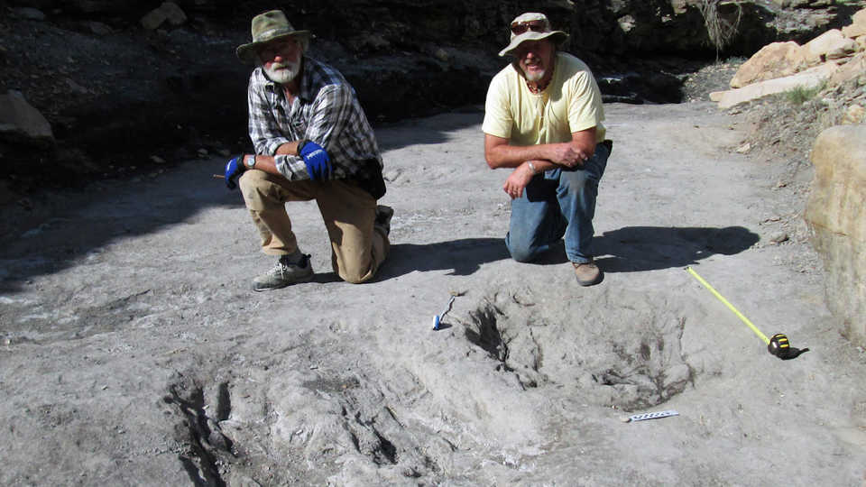 Martin Lockley (right) and Ken Cart kneel beside two large Cretaceous-age scrapes from western Colorado