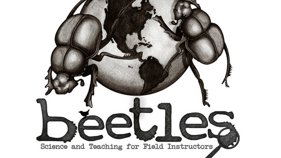 BEETLES leadership institute