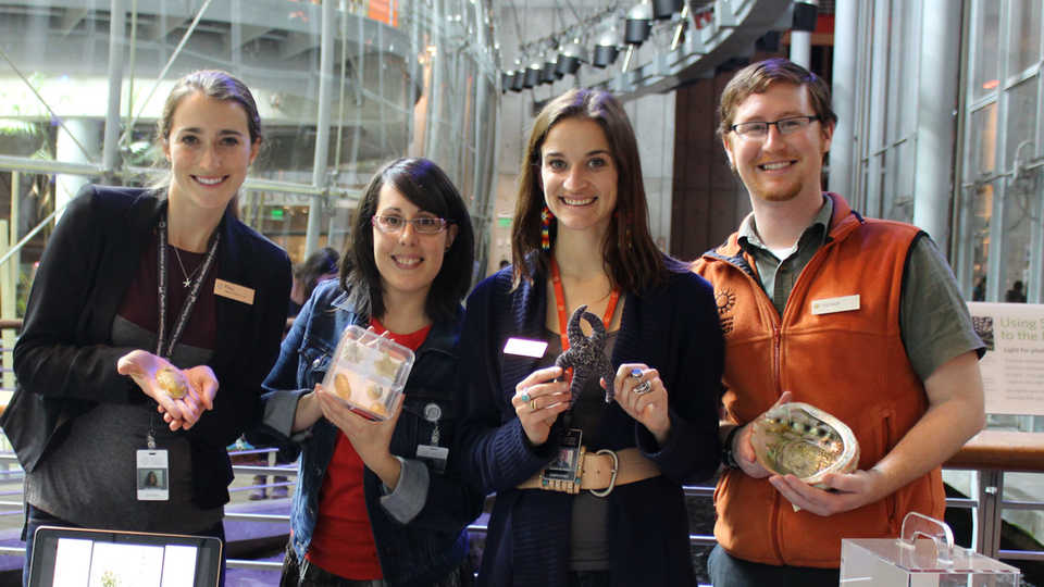 Informal educators holding museum specimens