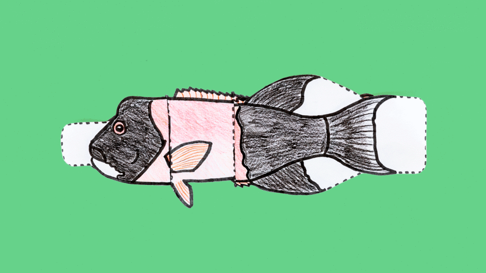 Animated GIF of sheephead fish craft