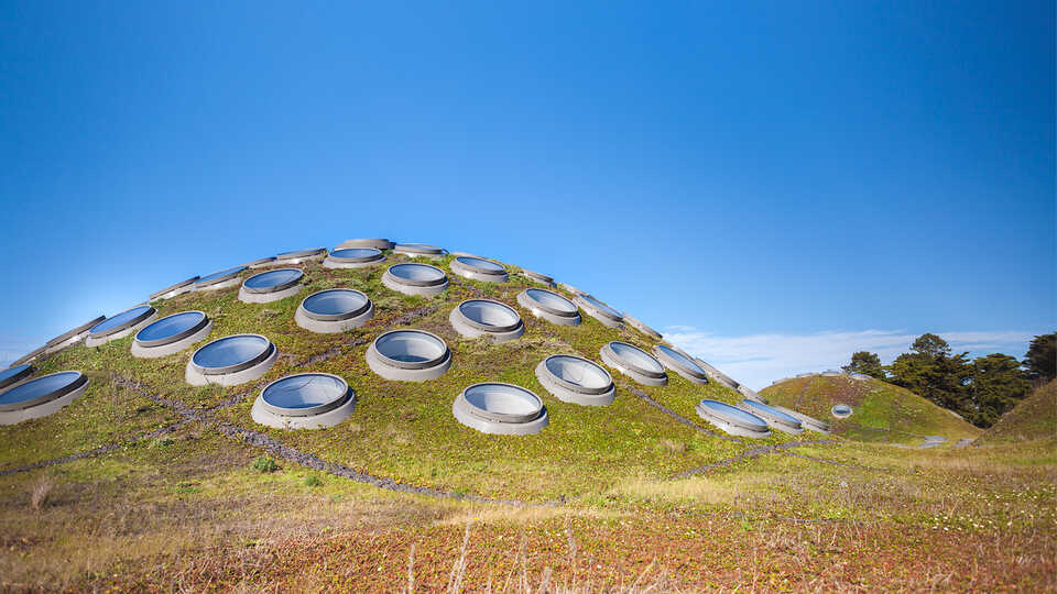 The Living Roof and its automated ventilation system on a sunny day. 