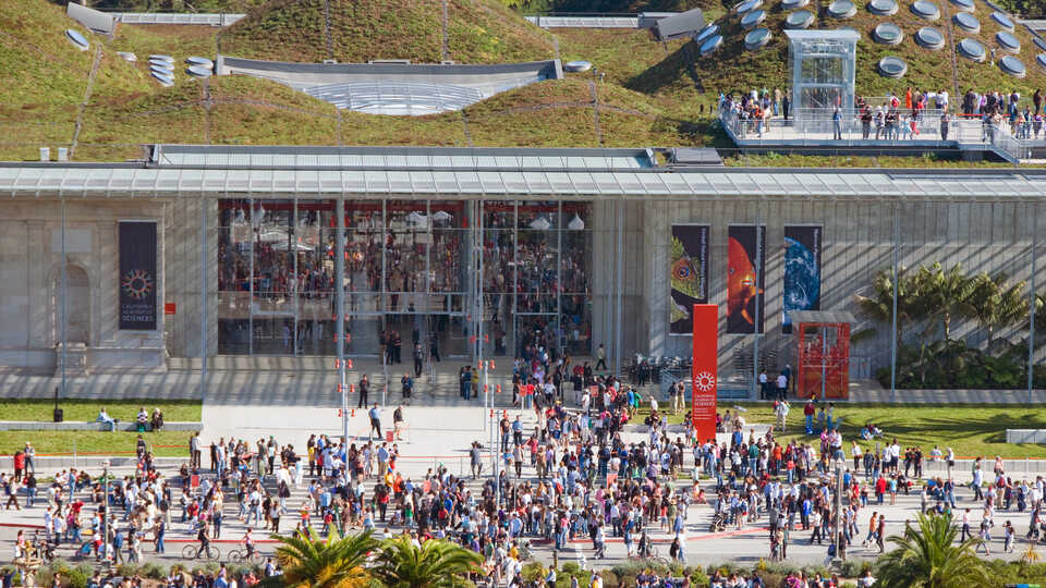 Aerial view of large crowd at Academy entrance on opening day in 2008