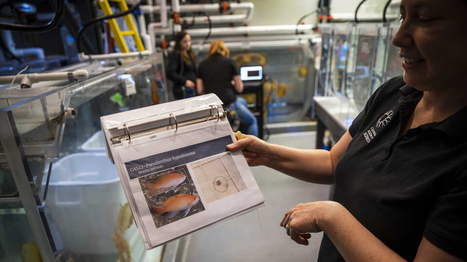 An Academy staffer holds a binder with a fish printed on paper inside, representing a species of reproductive interest.