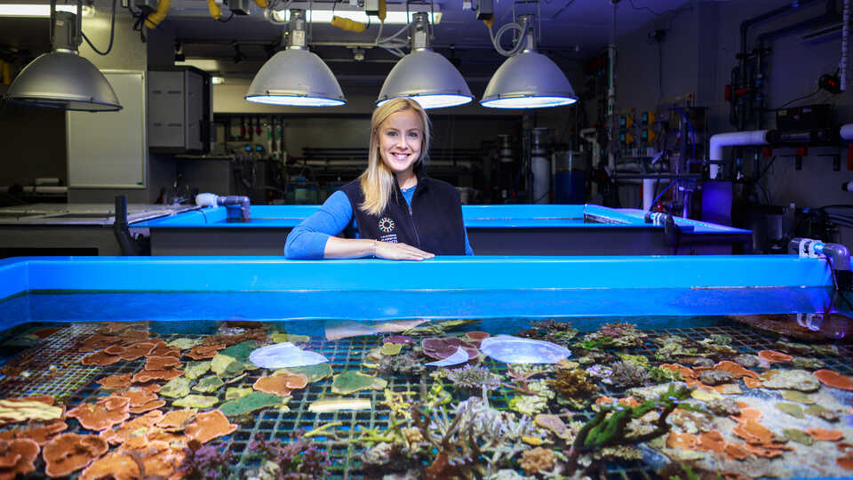 Rebecca Albright stands lit up by overhead lamps shining down on a tank full of colorful coral in the CORL lab.