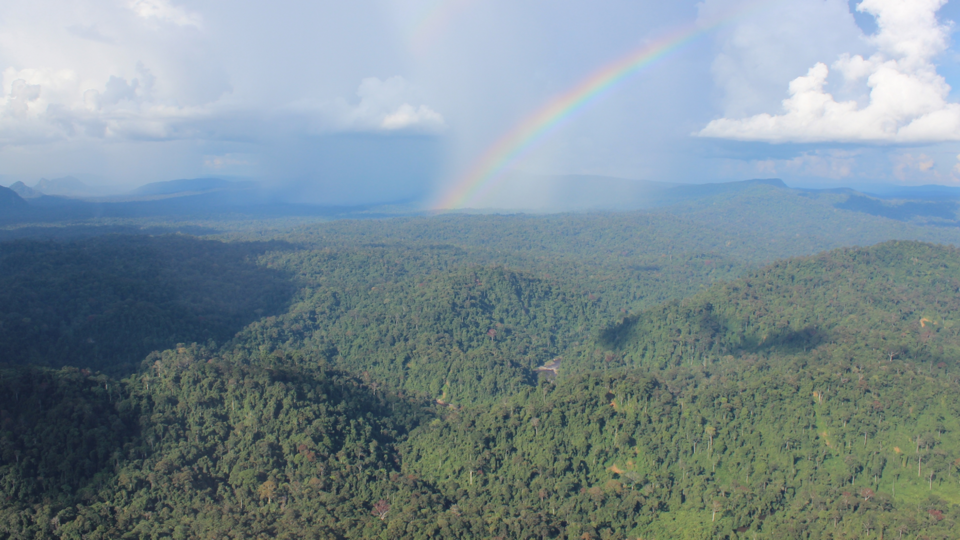 Remaining forests in Borneo