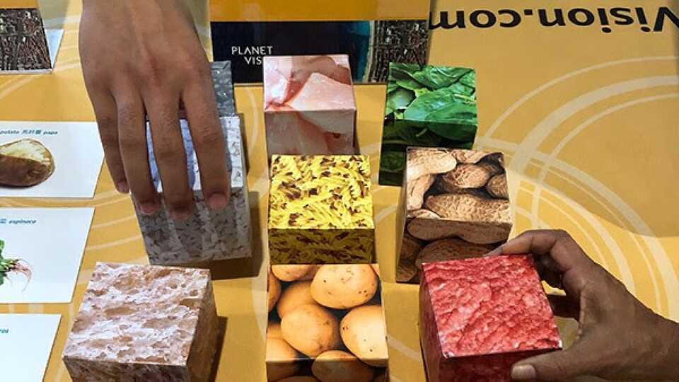 Weighted cubes showcase the relative carbon footprints of various foods.