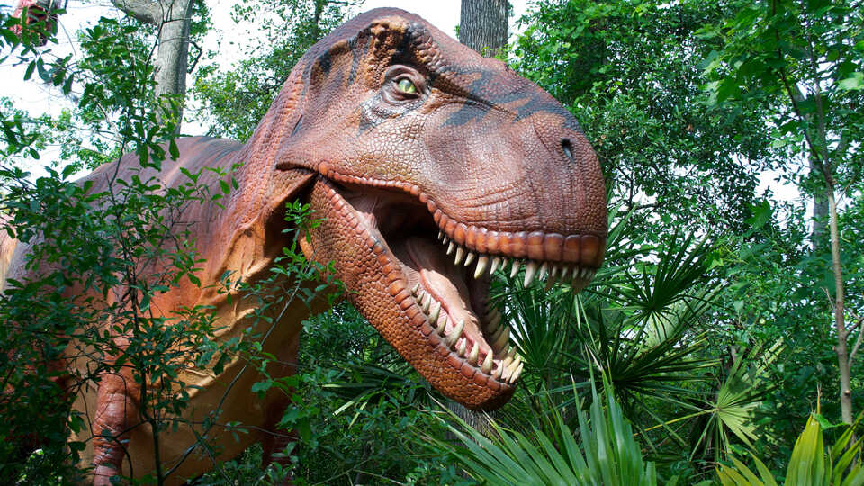 T. rex model in garden