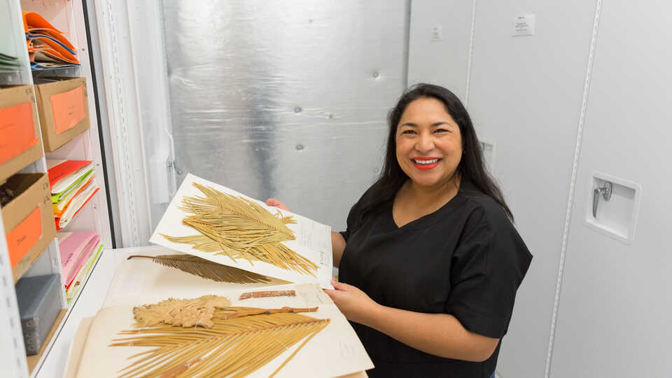 Nathalie Nagalingum, PhD, in the Academy's botany collections