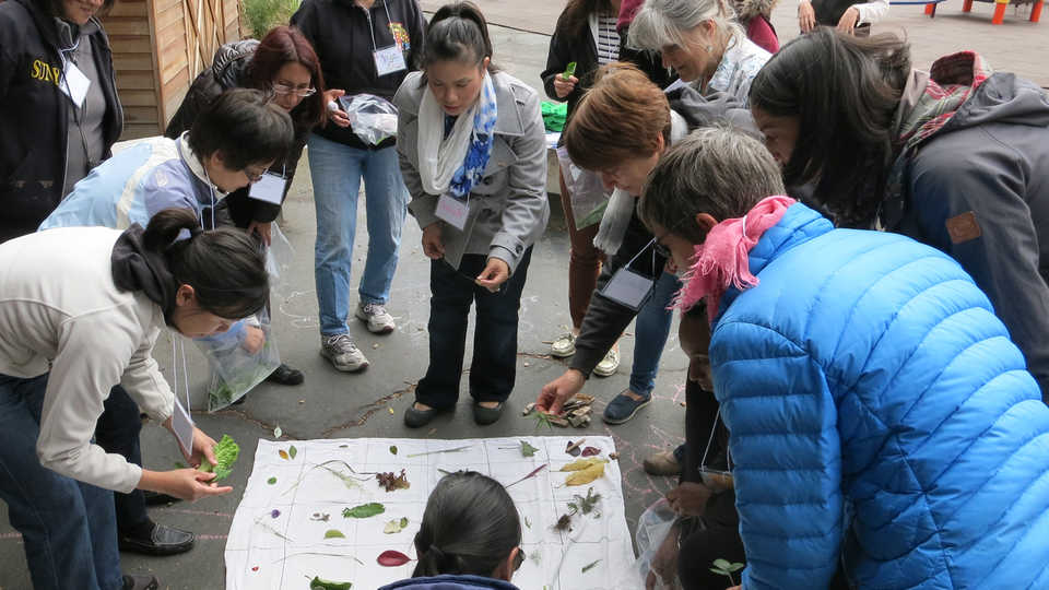 teachers huddle around leaves they collected outside